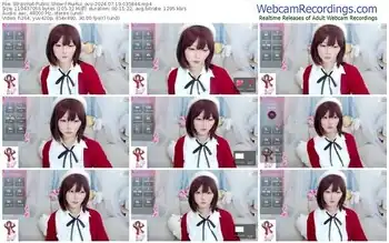 stripchat-ruirui_ovo-07-19-2024-03-58-44