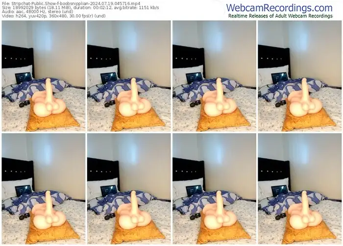 stripchat-boobsnipplian-07-19-2024-04-57-16
