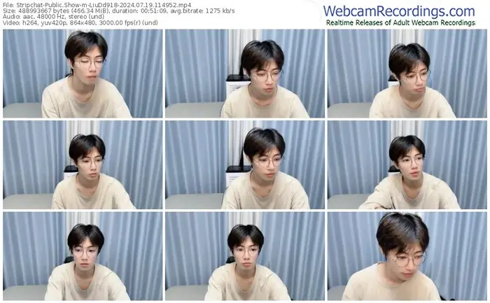 stripchat-liudd918-07-19-2024-11-49-52