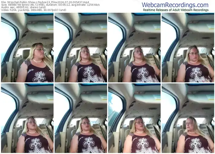 stripchat-toybox13_pika-07-20-2024-00-54-37