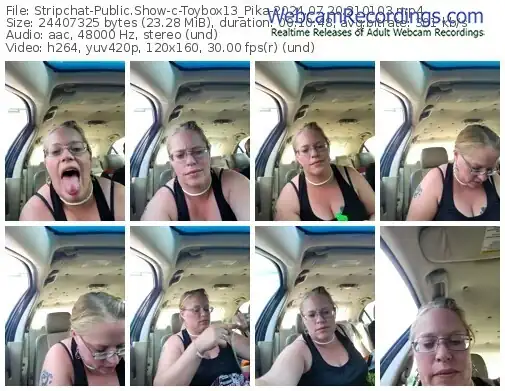 stripchat-toybox13_pika-07-20-2024-21-01-03