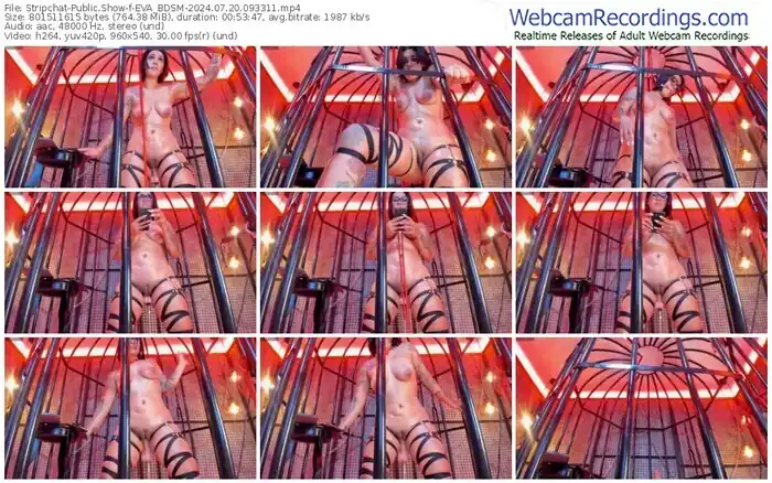 stripchat-eva_bdsm-07-20-2024-09-33-11