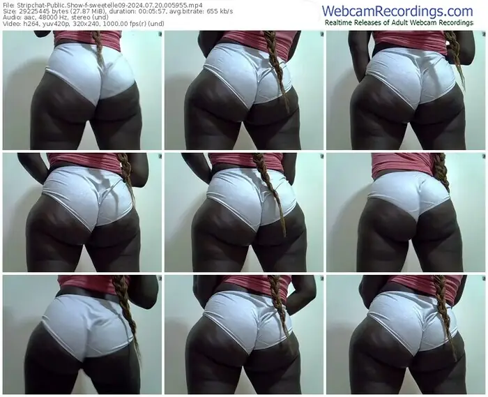stripchat-sweetelle09-07-20-2024-00-59-55