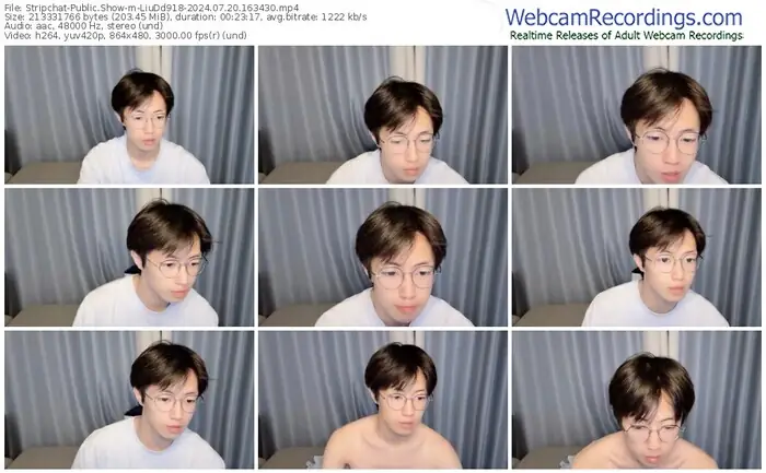 stripchat-liudd918-07-20-2024-16-34-30