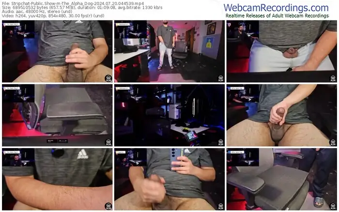 stripchat-the_alpha_dog-07-20-2024-04-45-39