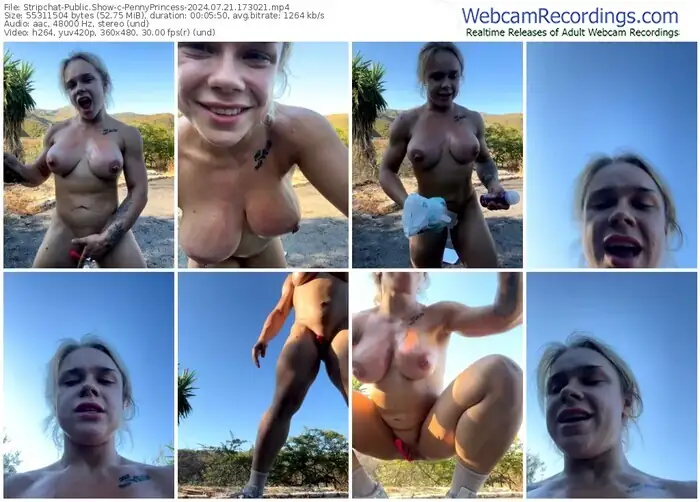 stripchat-pennyprincess-07-21-2024-17-30-21