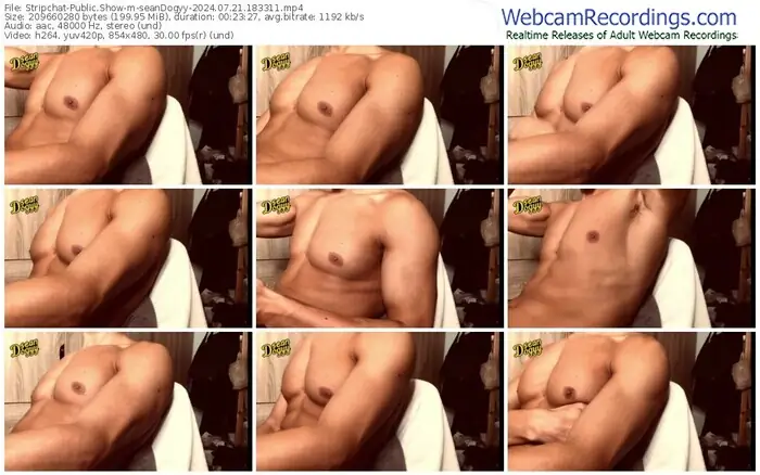 stripchat-seandogyy-07-21-2024-18-33-11