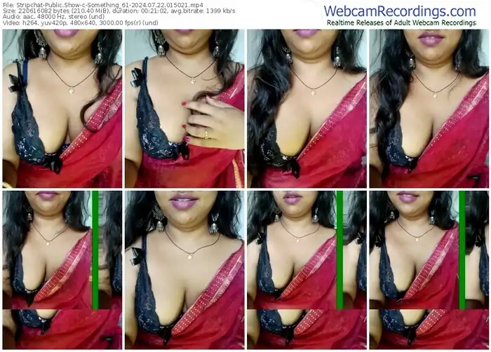 stripchat-something_61-07-22-2024-01-50-21