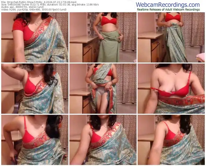 stripchat-pinky_4-07-22-2024-17-31-48