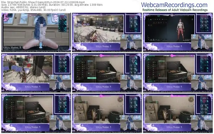 stripchat-sassykittyn-07-22-2024-10-36-28