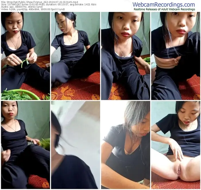 stripchat-venus_2k2-07-22-2024-01-31-45