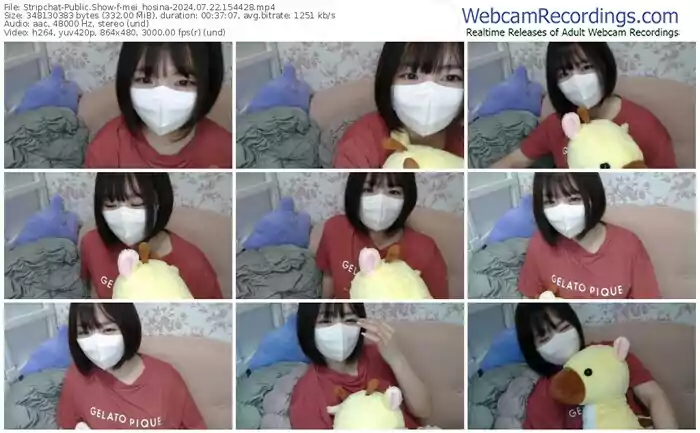 stripchat-mei_hosina-07-22-2024-15-44-28