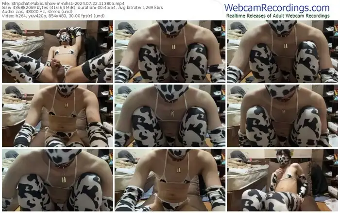 stripchat-nihs1-07-22-2024-11-38-05