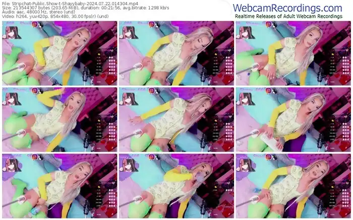 stripchat-shayybaby-07-22-2024-01-43-04