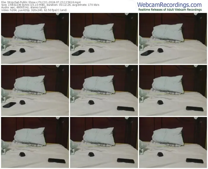 stripchat-tilco1-07-23-2024-11-56-16