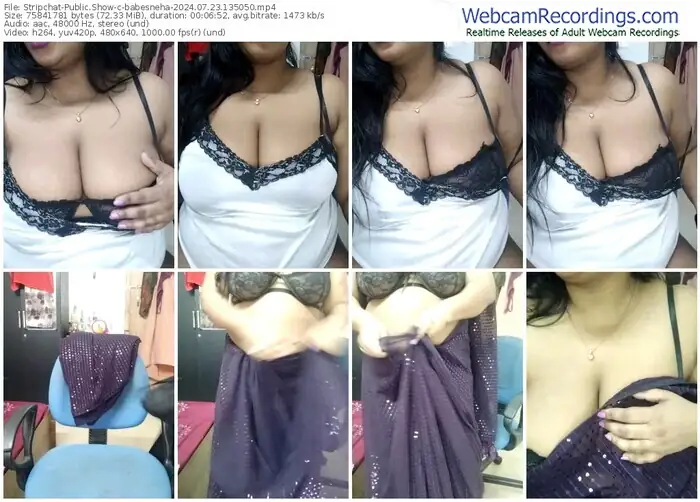stripchat-babesneha-07-23-2024-13-50-50