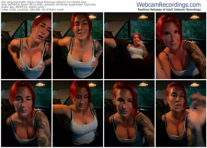 stripchat-black-flamingo-07-23-2024-19-33-06