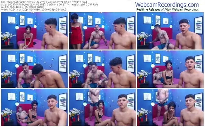 stripchat-destroys_vagina-07-23-2024-02-03-52