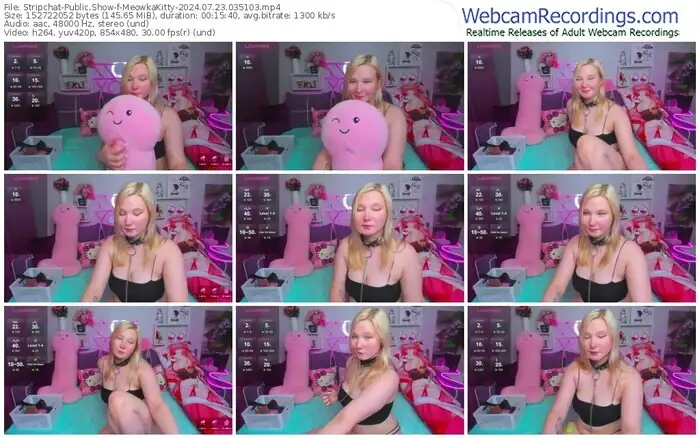 stripchat-meowkakitty-07-23-2024-03-51-03
