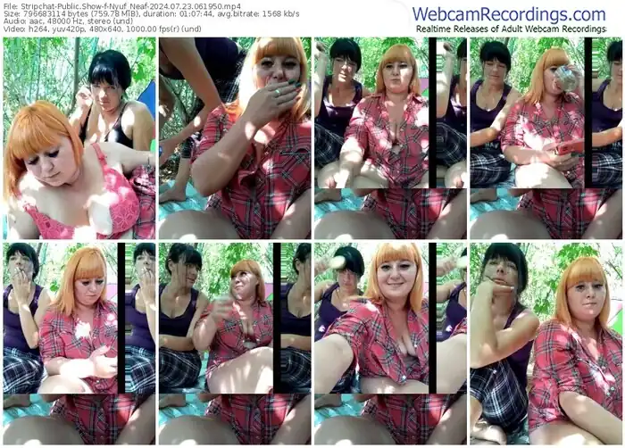 stripchat-nyuf_neaf-07-23-2024-06-19-50