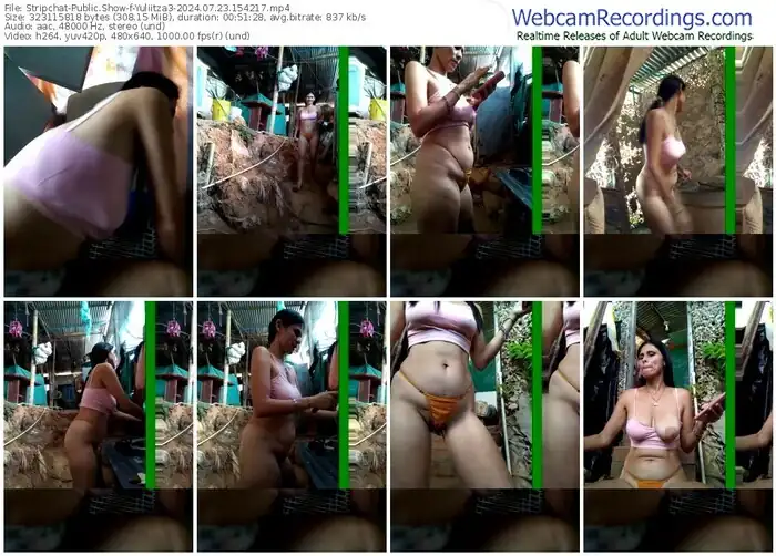 stripchat-yuliitza3-07-23-2024-15-42-17