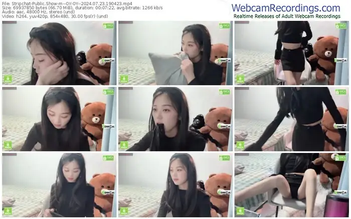 stripchat--oy-oy--07-23-2024-19-04-23