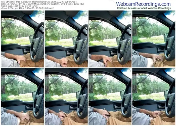 stripchat-themechanic420-07-23-2024-15-09-34