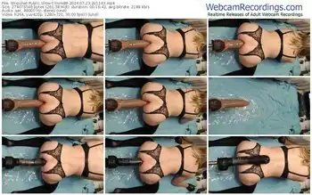 stripchat-ylvis88-07-23-2024-20-11-43