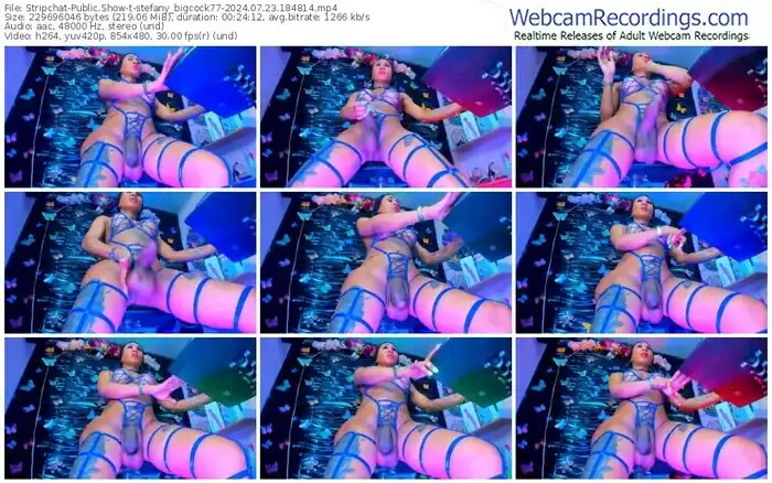 stripchat-stefany_bigcock77-07-23-2024-18-48-14