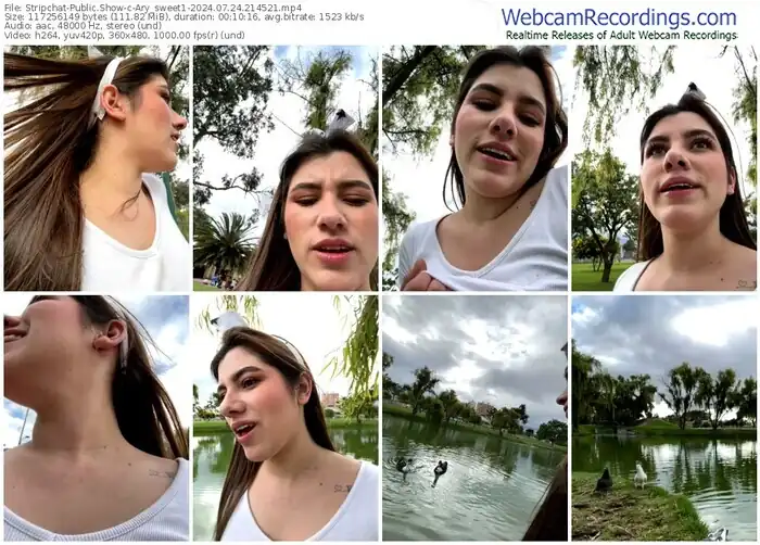 stripchat-ary_sweet1-07-24-2024-21-45-21