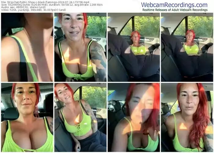 stripchat-black-flamingo-07-24-2024-17-37-08