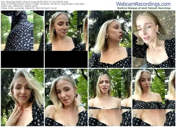 stripchat-caseystuff-07-24-2024-15-25-35