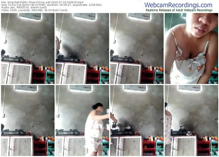 stripchat-dina_wet-07-24-2024-02-09-29