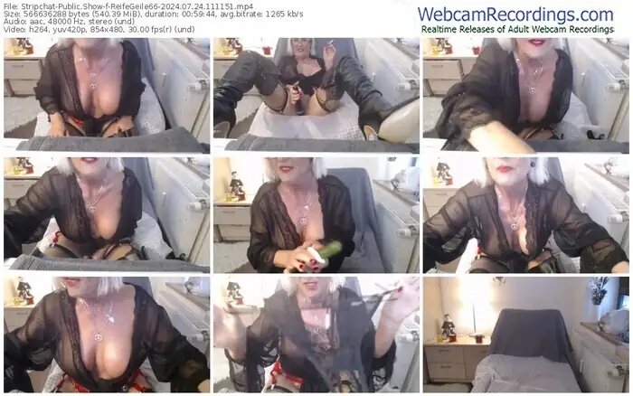 stripchat-reifegeile66-07-24-2024-11-11-51