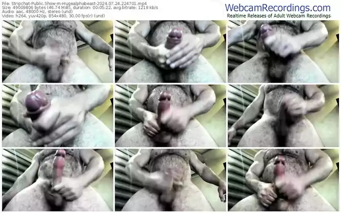 stripchat-hugealphabeast-07-24-2024-22-47-01