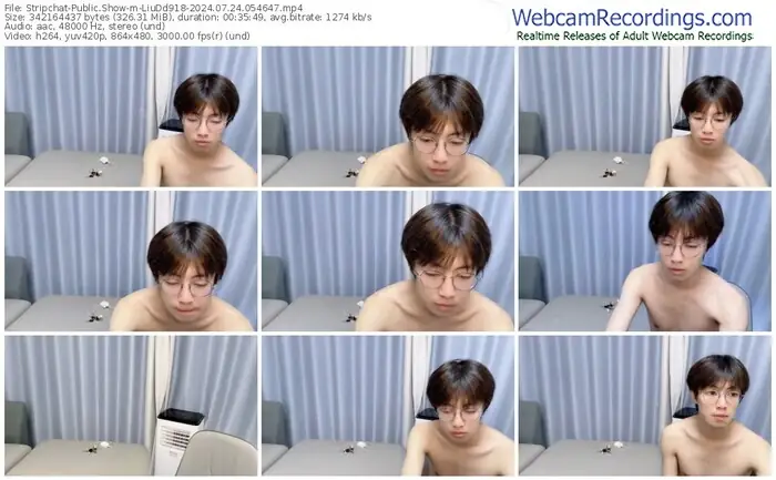 stripchat-liudd918-07-24-2024-05-46-47