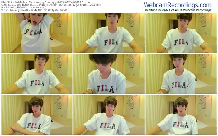 stripchat-gaygamogey-07-24-2024-08-21-28