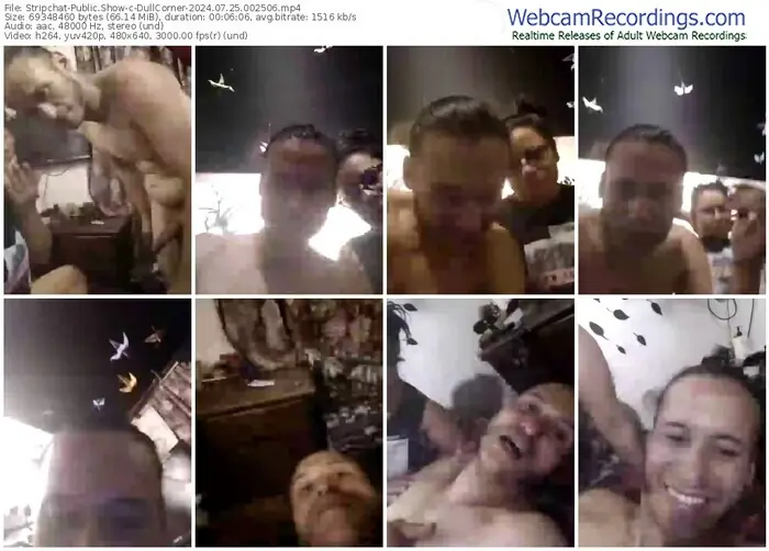 stripchat-dullcorner-07-25-2024-00-25-06