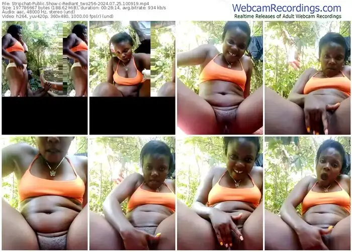 stripchat-rediant_two256-07-25-2024-10-09-19