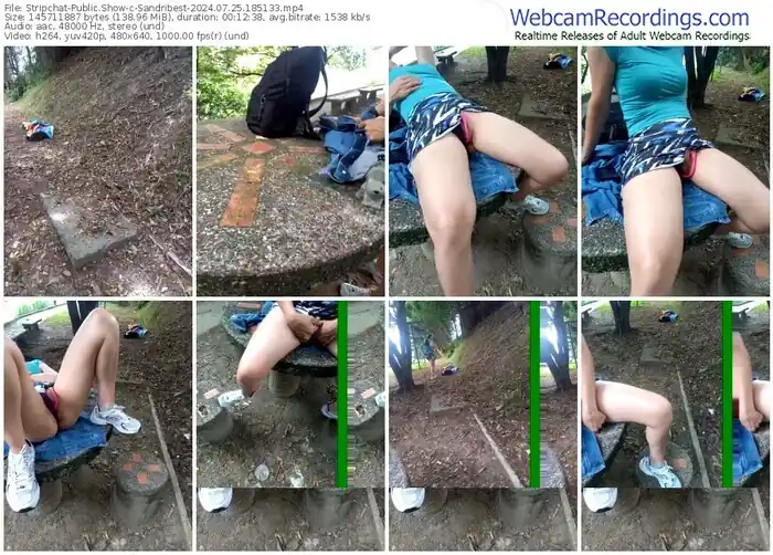 stripchat-sandribest-07-25-2024-18-51-33