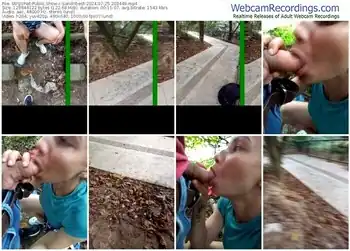 stripchat-sandribest-07-25-2024-20-34-49