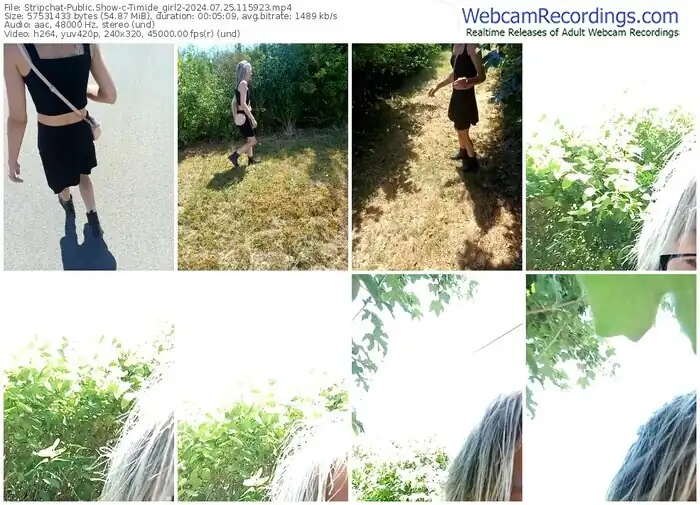 stripchat-timide_girl2-07-25-2024-11-59-23