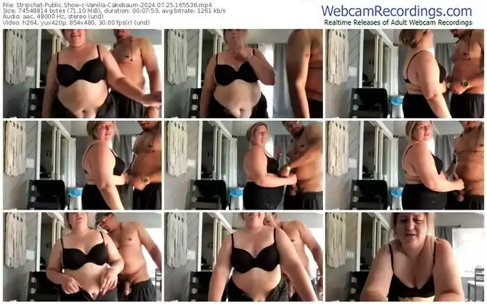 stripchat-vanilla-cakebaum-07-25-2024-16-55-36