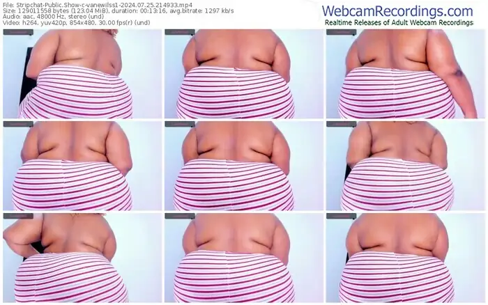 stripchat-vanewilss1-07-25-2024-21-49-33
