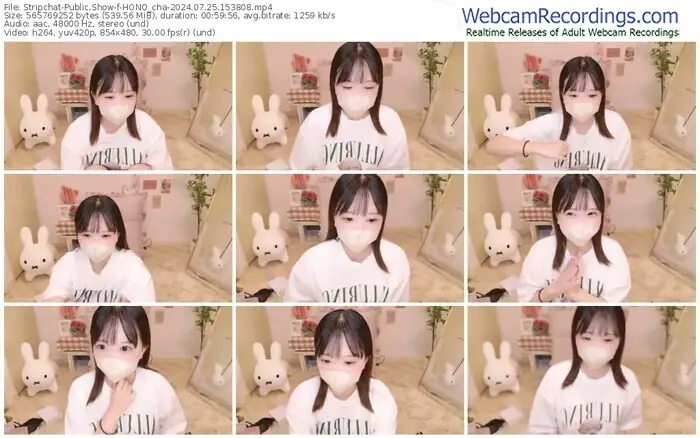 stripchat-hono_cha-07-25-2024-15-38-08