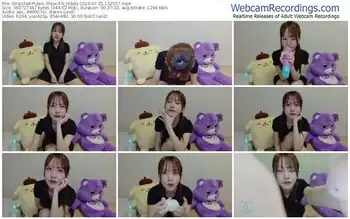 stripchat-n_hibiki-07-25-2024-15-25-57