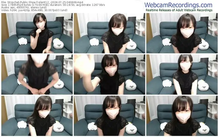 stripchat-silent12_-07-25-2024-04-08-48