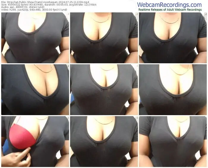 stripchat-tamil-noorbegum-07-25-2024-11-22-39