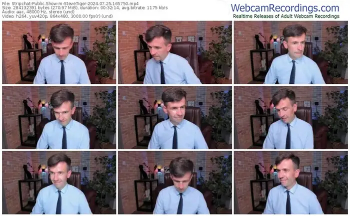 stripchat-stevetiger-07-25-2024-16-57-50