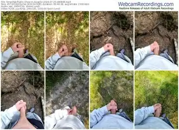 stripchat-swaytiii-07-25-2024-08-08-08